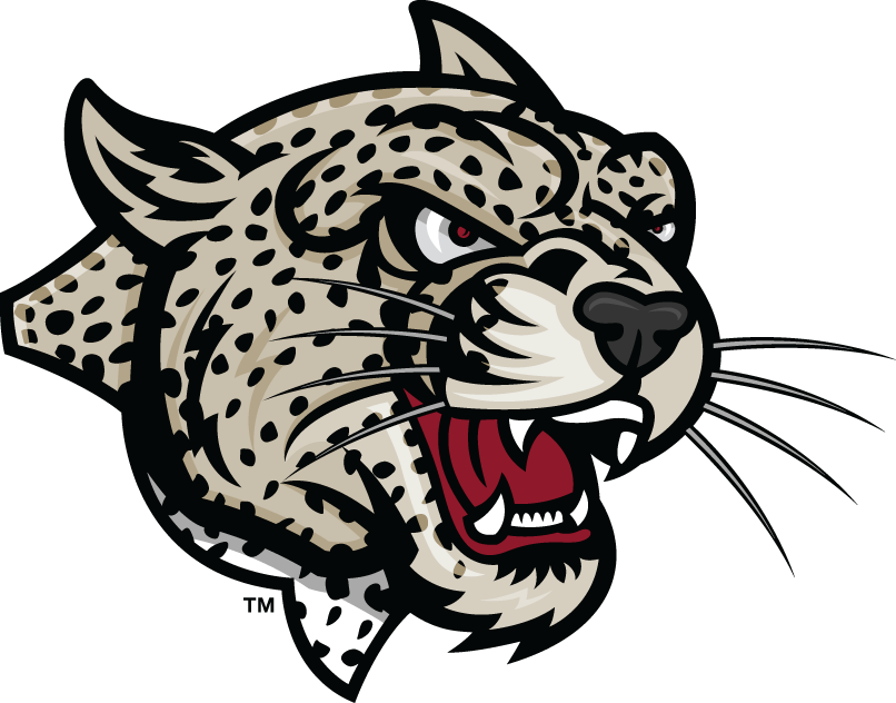 Lafayette Leopards 2000-Pres Partial Logo iron on transfers for fabric